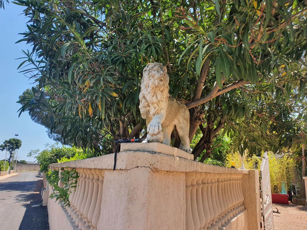 Villa les palmiers -Stretta di i mandarini Lucciana  Esterno foto