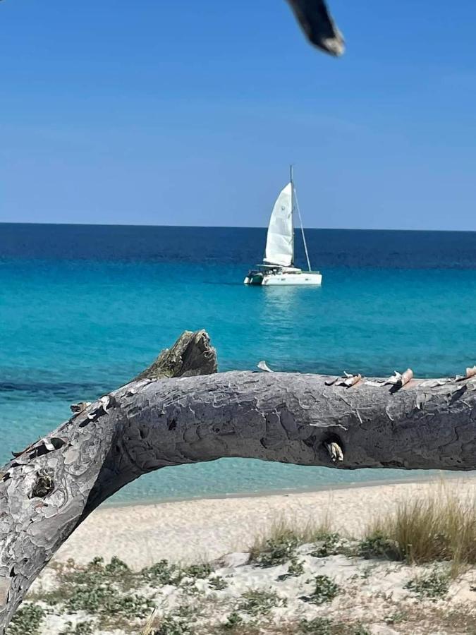 Villa les palmiers -Stretta di i mandarini Lucciana  Esterno foto