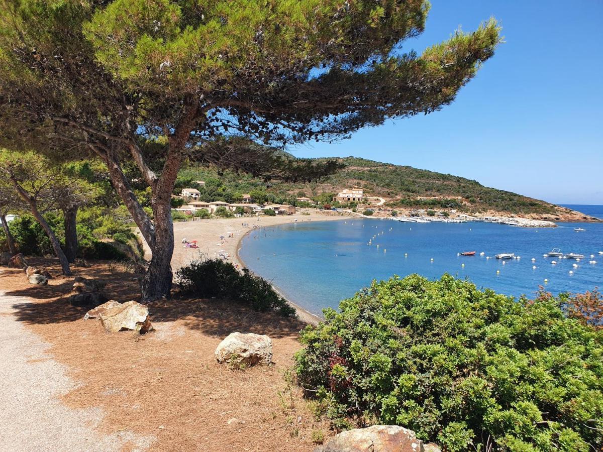 Villa les palmiers -Stretta di i mandarini Lucciana  Esterno foto